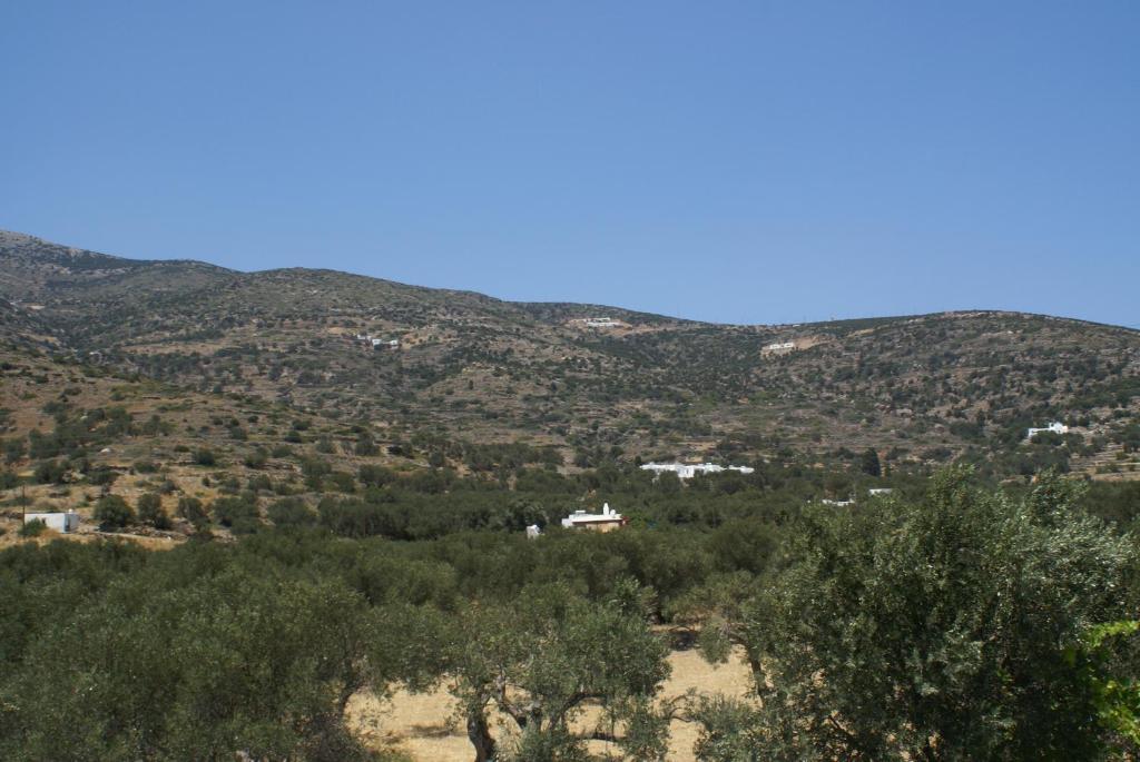 Villa Antoniadis Platis Gialos  Экстерьер фото